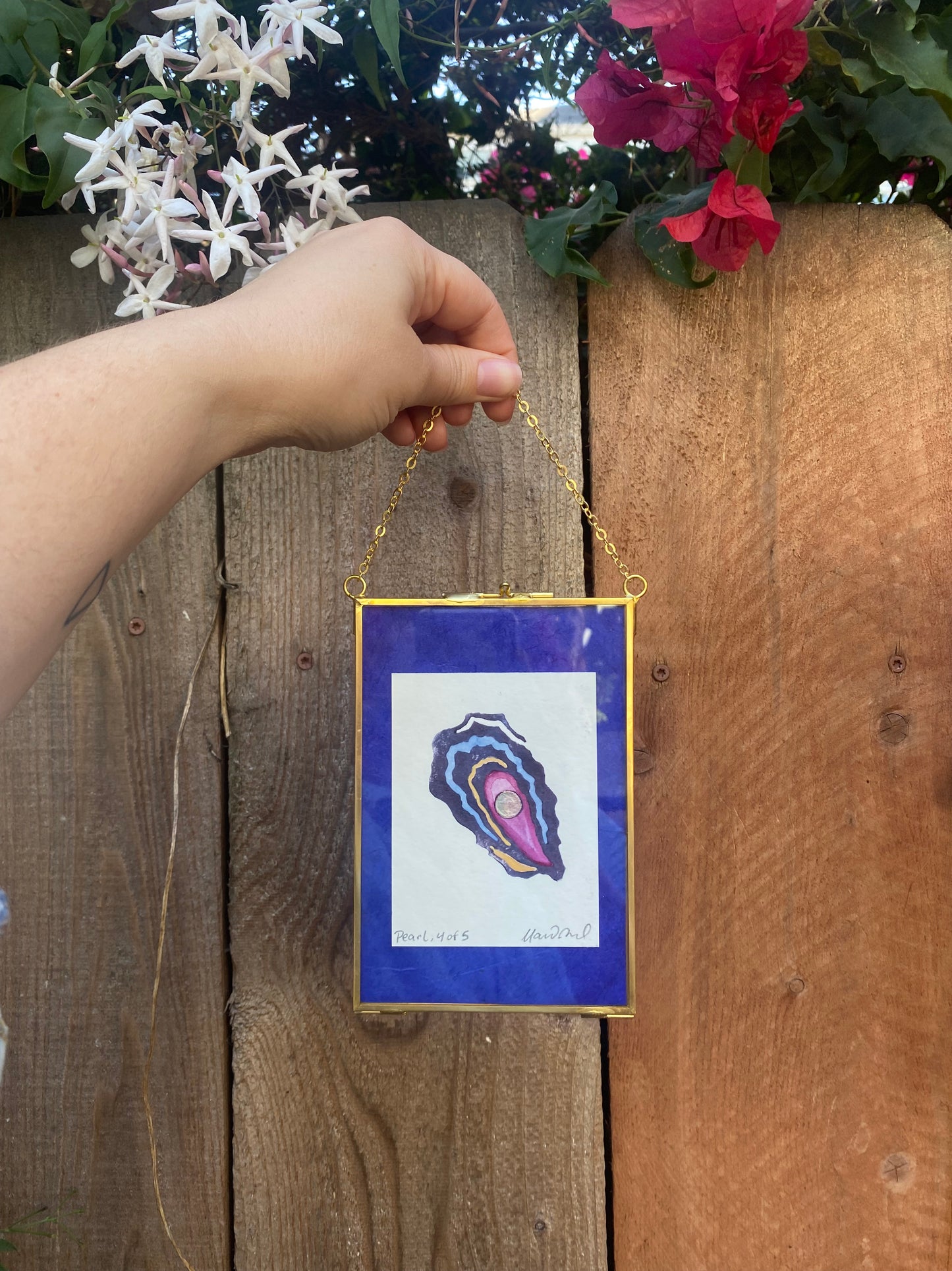 Oyster Oracle Framed Print